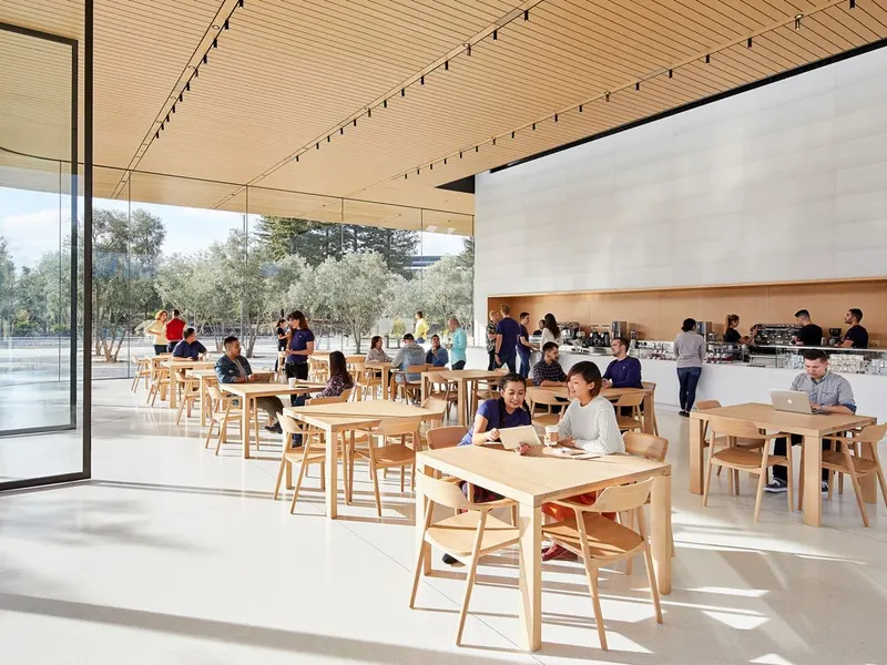 A cafe with timber tables under a slatted ceiling, open to a grove of trees