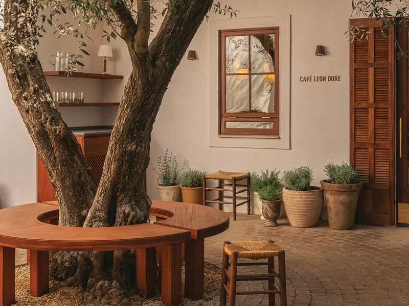 A courtyard with an olive tree ringed by a timber bench, potted herbs and shuttered doors